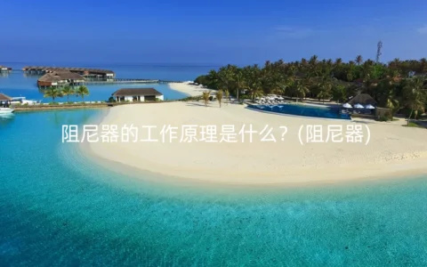 阻尼器的工作原理是什么？(阻尼器)