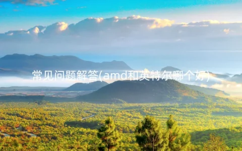 常见问题解答(amd和英特尔哪个好)