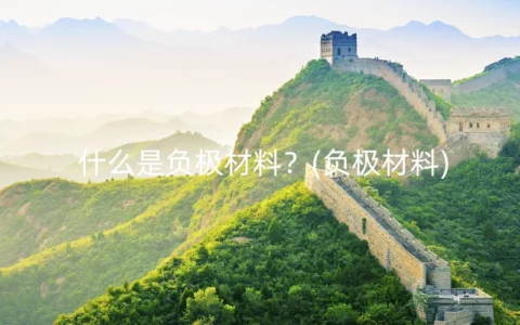 什么是负极材料？(负极材料)