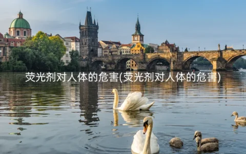 荧光剂对人体的危害(荧光剂对人体的危害)