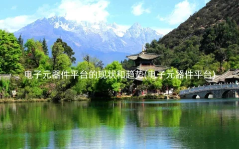 电子元器件平台的现状和趋势(电子元器件平台)