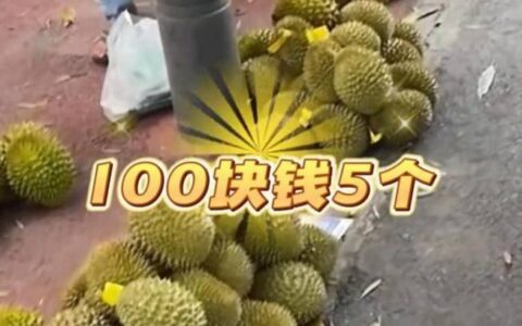 热闻|杭州榴莲批发价低至20元，你“榴莲自由”了吗