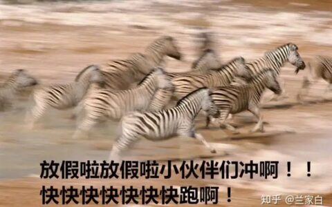 移动手机还可以这样买？为什么没人早点告诉我！！！