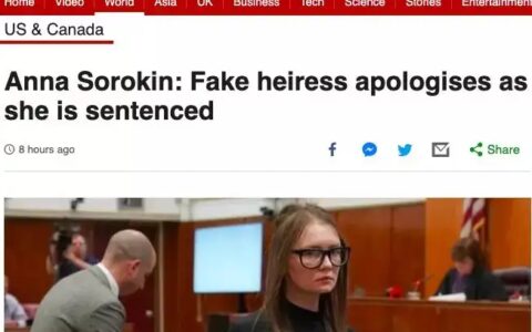 混迹纽约上流圈子的女骗子，身无分文过着超乎想象的奢侈生活，被判刑最高12年