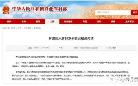 今日猪价 | 今日(2020.6.1)最新猪价-未来5-10天猪价表最新