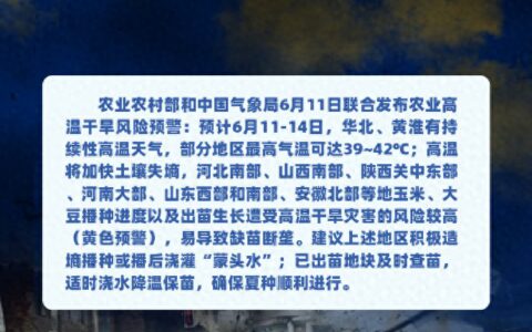这里正在遭受特旱！-这里发生什么事了翻译