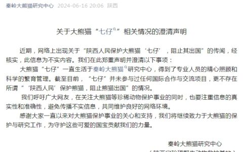 陕西人民阻止大熊猫“七仔”出国？官方回应：不实-大熊猫为什么只在四川陕西甘肃