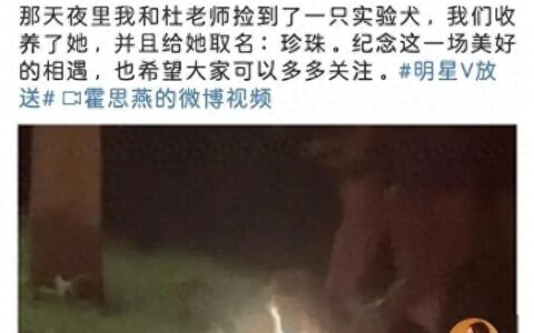 霍思燕杜江收养实验犬！视频背后让人泪目。-杜江霍思燕家的狗是什么狗