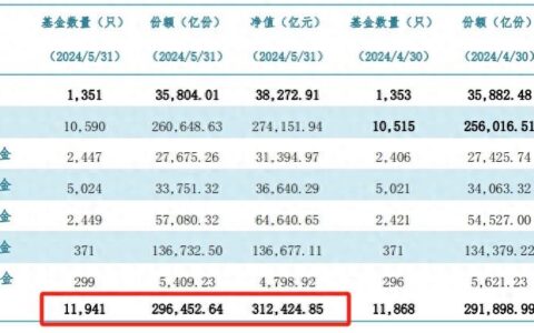 31.24万亿元，公募5月总规模再创新高！-公募规模超过17万亿的公司