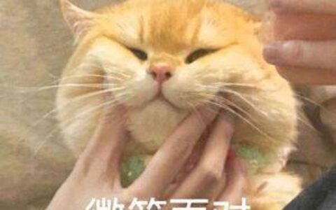 金价从最高点回落6%-金价回到300以下吗