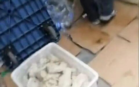 胖东来退款现场顾客排长队 工作人员：可过两天再来，退款没有具体截止日期-胖东来倒闭了吗?