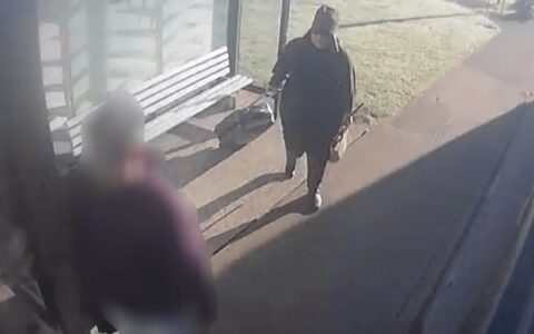 中国留学生在新西兰牙被打掉，嫌疑女子已落网！被控蓄意伤人-新西兰留学生数量