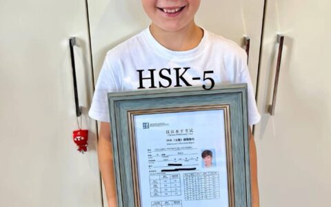 外国9岁小孩哥“炫耀”汉语水平考试5级，中国网友在线出题，火星文都请出来了-老外汉语水平考试题目