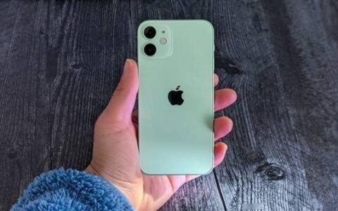 雷军问是否还有人在用iPhone mini 网友：用了3年 想找个安卓替代品都没有-雷军响应苹果号召