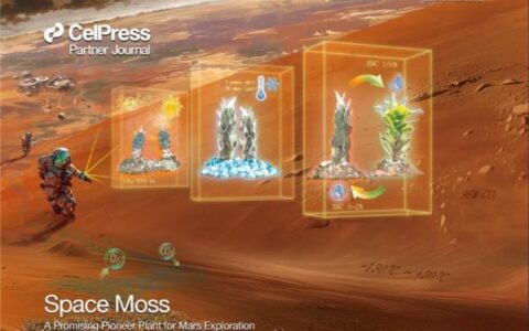 重大发现！新疆找到有望在火星存活的植物：零下196℃冻不死、5000Gy伽马辐射照不死-新疆能不能种火龙果