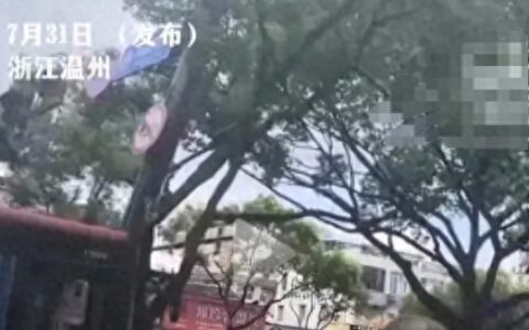 突发！浙江温州一辆公交车撞上大树，多人受伤！现场一片狼藉-温州大巴车车祸