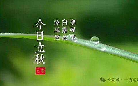 台风警报发出，5号马上登场，后有双台风降温？6号7号或中旬生成-5号台风消息